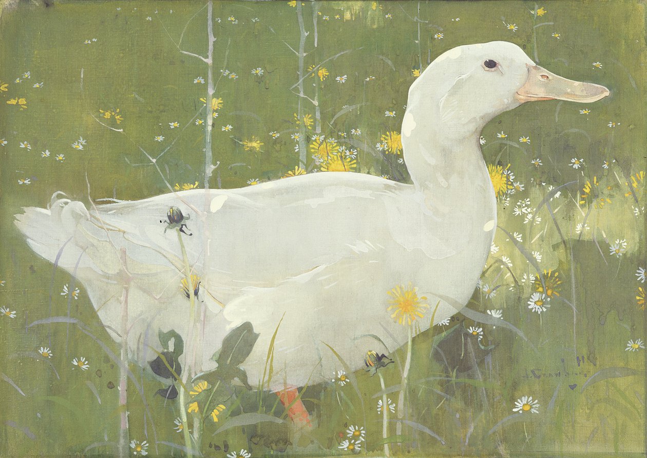 Biały Drake (gwasz na płótnie) autorstwa Joseph Crawhall