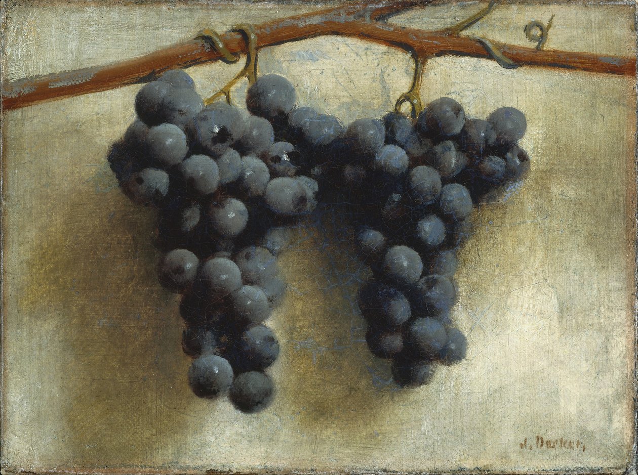 Winogrona autorstwa Joseph Decker