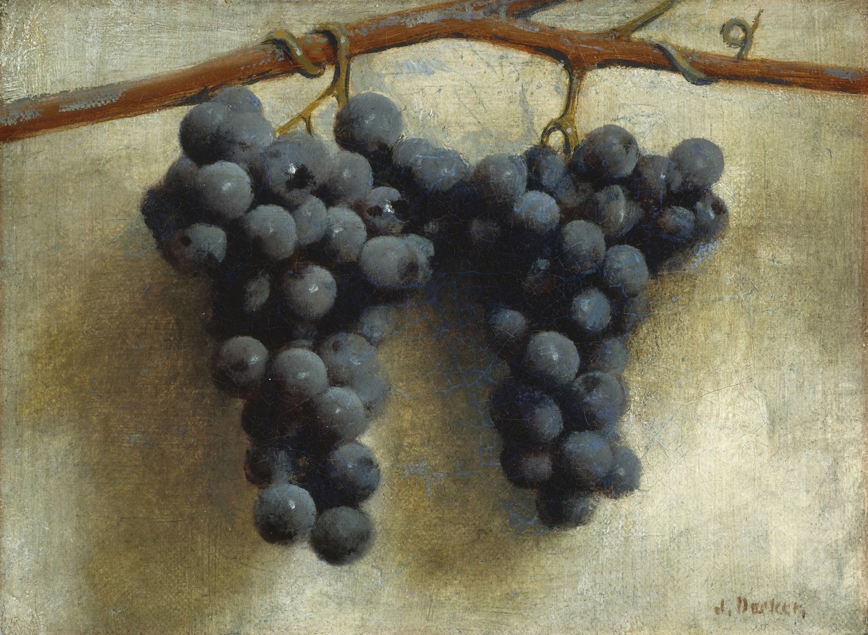 Winogrona, ok. 1890-1895 (olej na płótnie) autorstwa Joseph Decker
