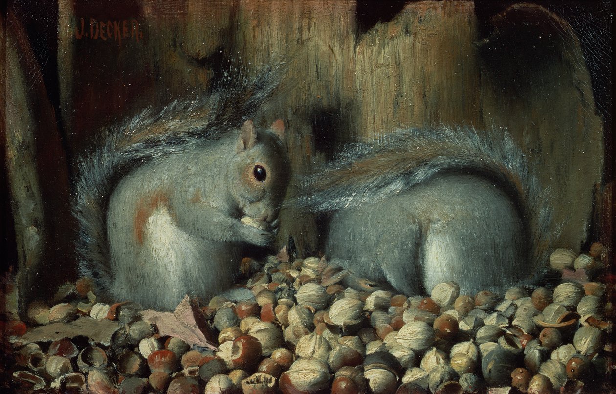 Żarłoki (wiewiórki) autorstwa Joseph Decker