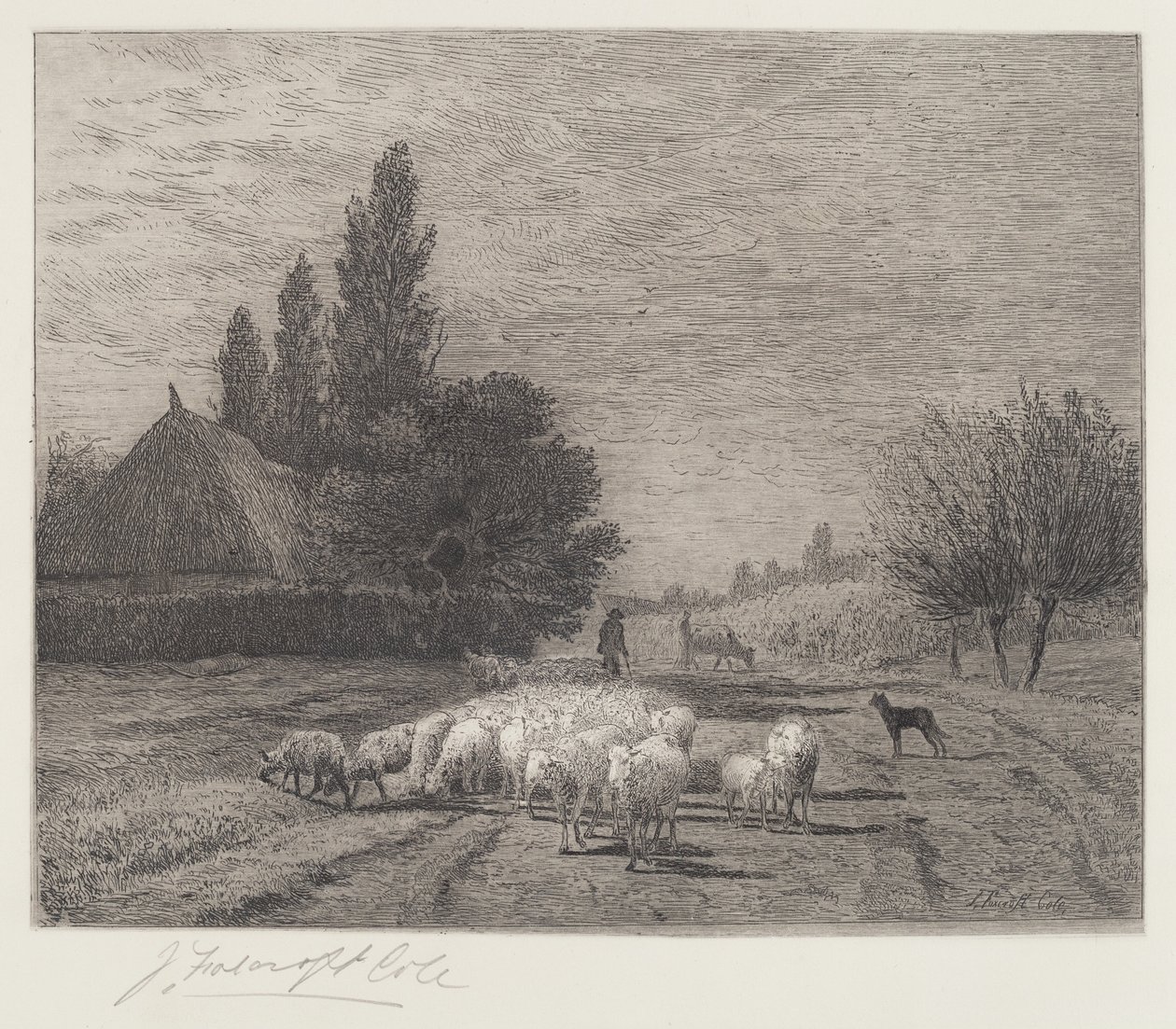 Wiejska ulica we Francji ze stadem owiec autorstwa Joseph Foxcroft Cole