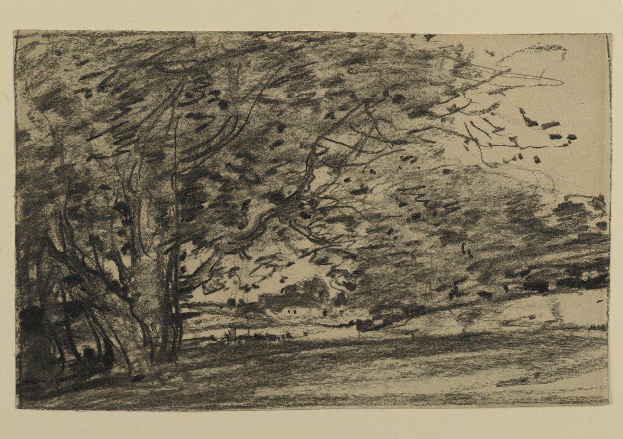 Studium Drzew, 1870 (grafit na papierze) autorstwa Joseph Frank Currier