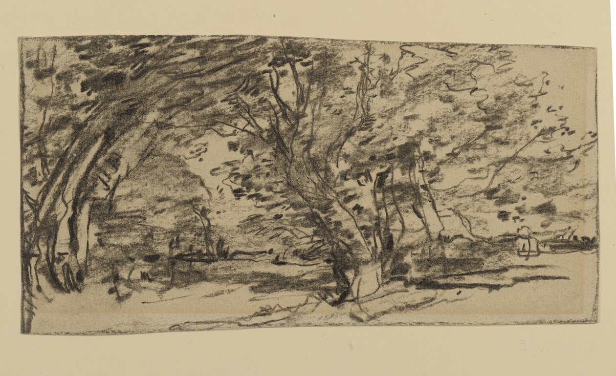 Studium Drzew, 1870 (grafit na papierze) autorstwa Joseph Frank Currier