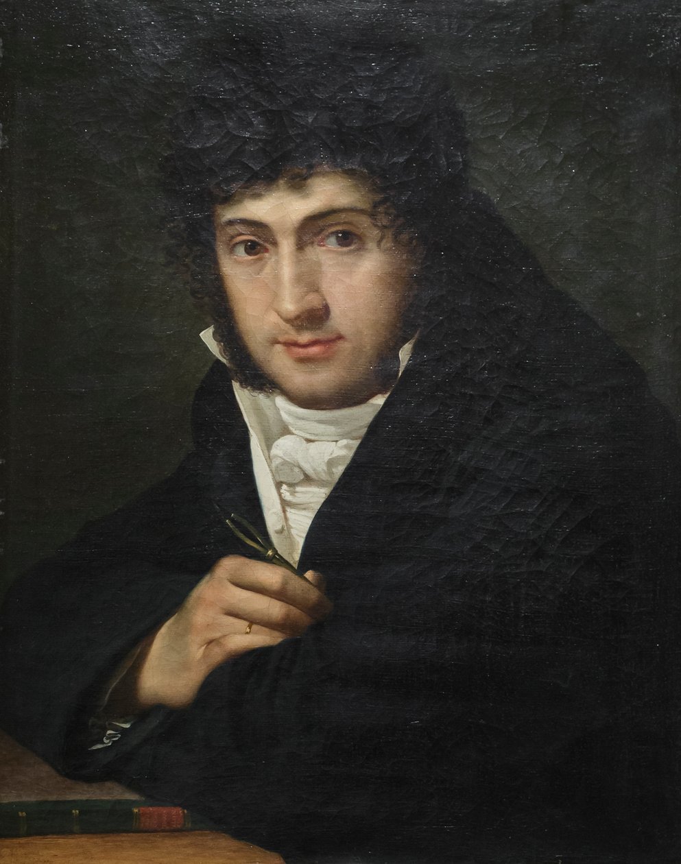 Portret Pelagio Palagi, Joseph François Ducq (olej na płótnie) autorstwa Joseph François Ducq