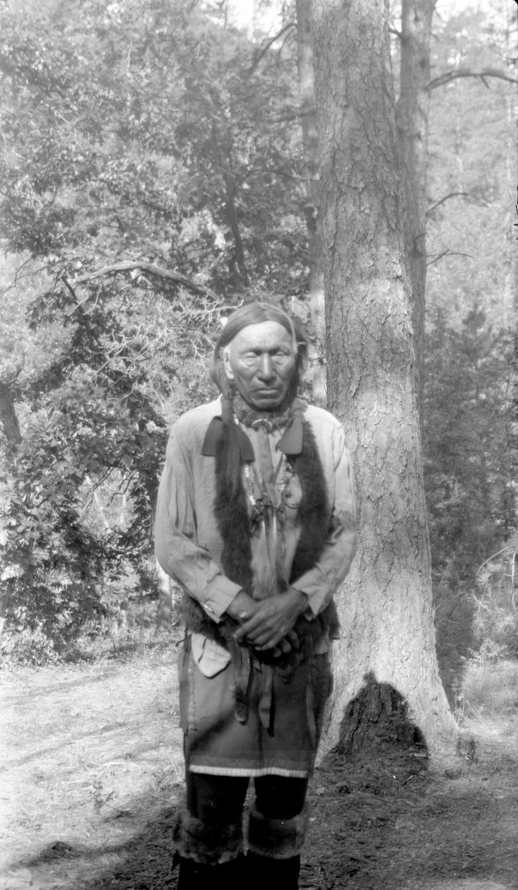 Czarny Łoś, Siuksowie Oglala autorstwa Joseph G. Masters