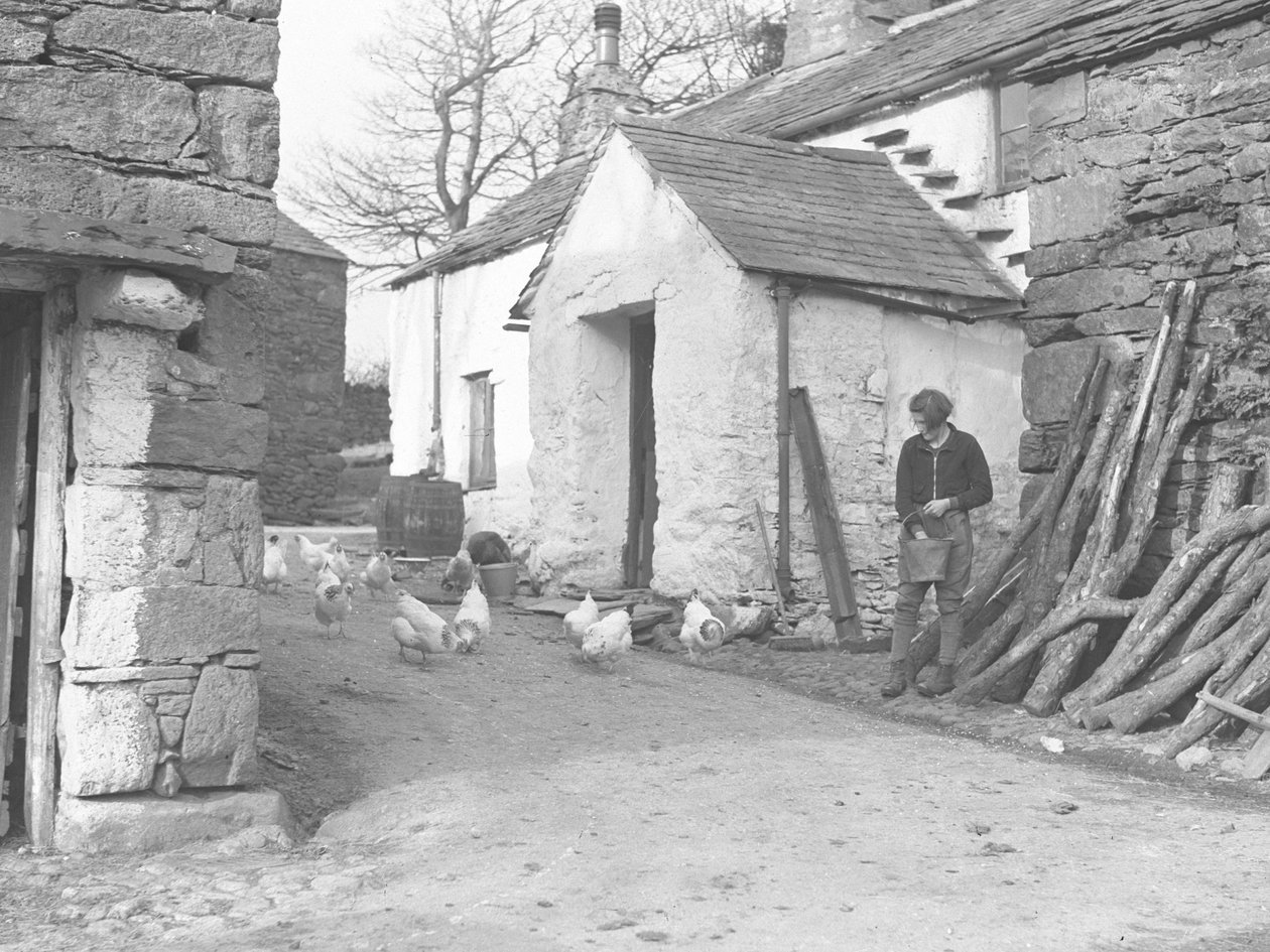 Dziewczyna karmiąca drób na farmie w Ulpha w Duddon Fells autorstwa Joseph Hardman