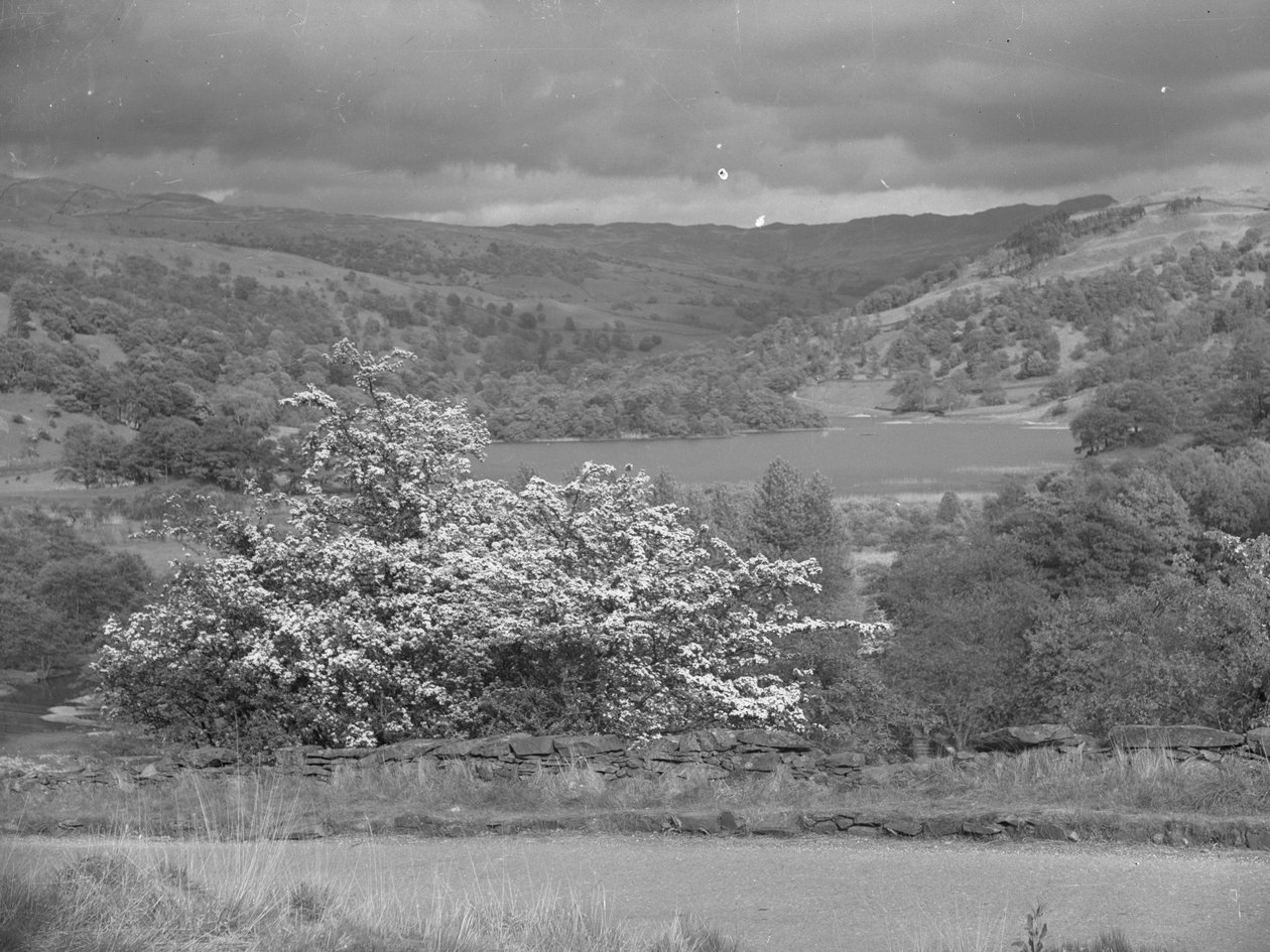 Widok na jezioro w Rydal autorstwa Joseph Hardman