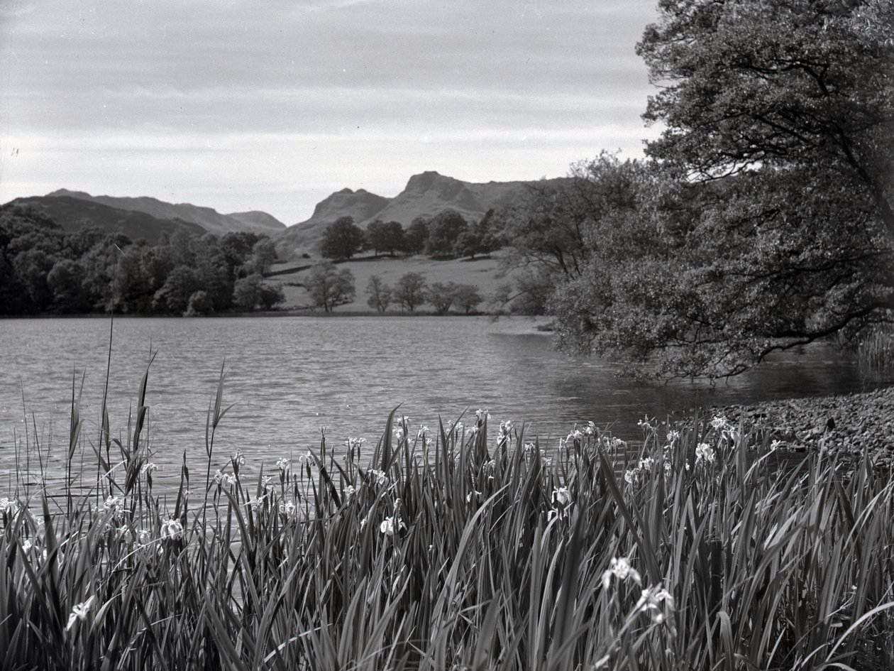 Widok na Loughrigg Tarn autorstwa Joseph Hardman
