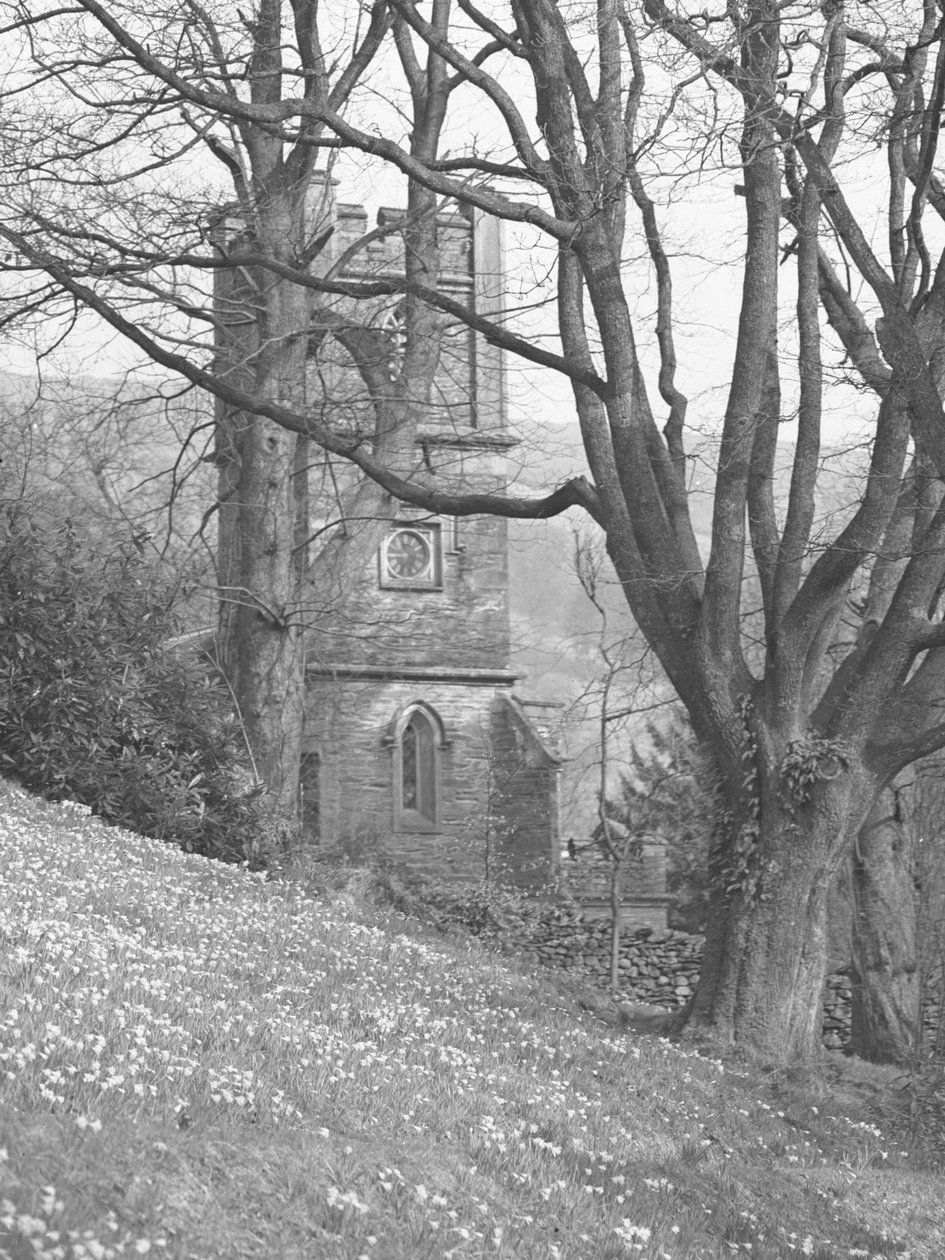 Widok kościoła; architektura; religijny; kościelny; wieża przez drzewa autorstwa Joseph Hardman