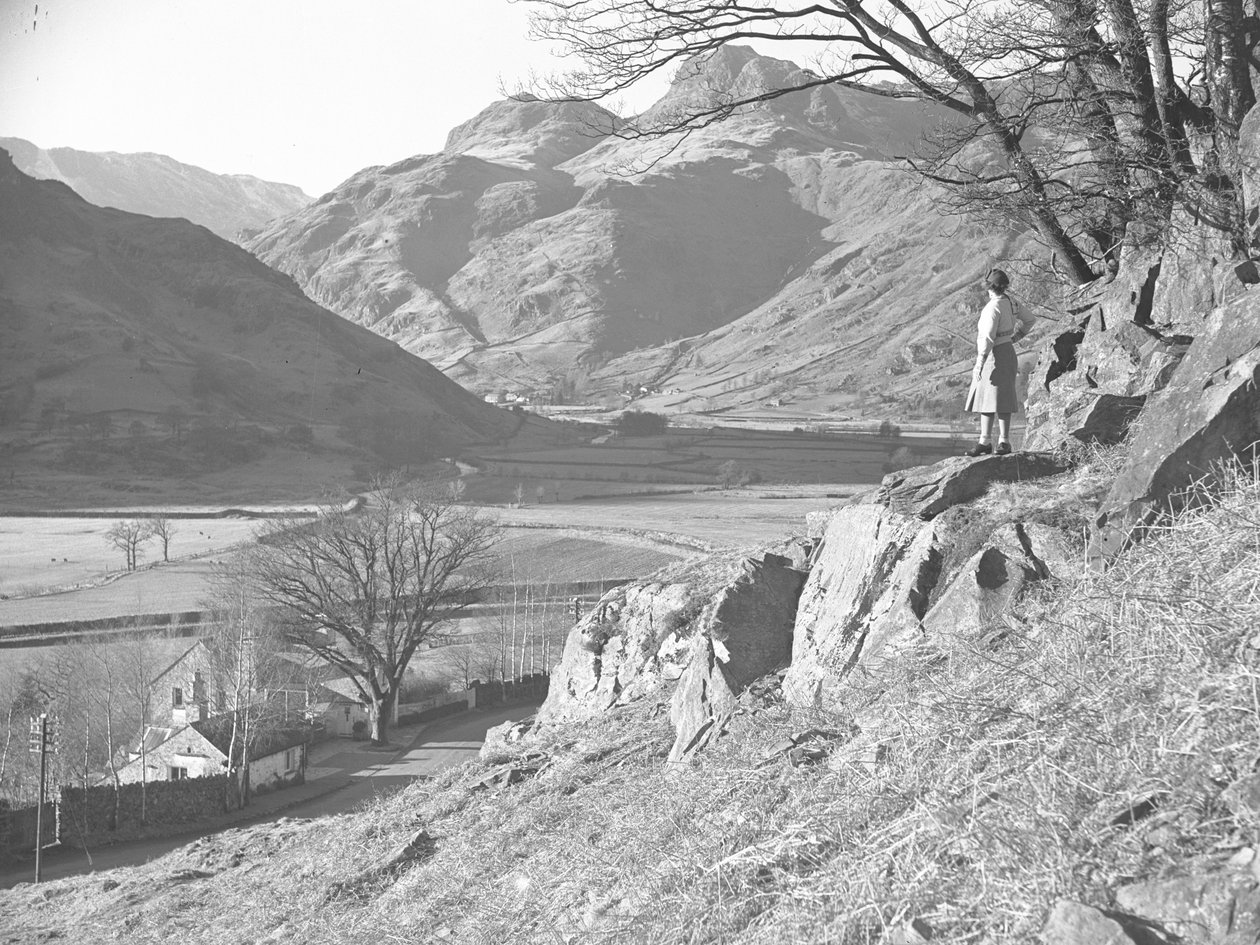 Kobieta stojąca na skałach pod drzewem z widokiem na Langdale Fells autorstwa Joseph Hardman