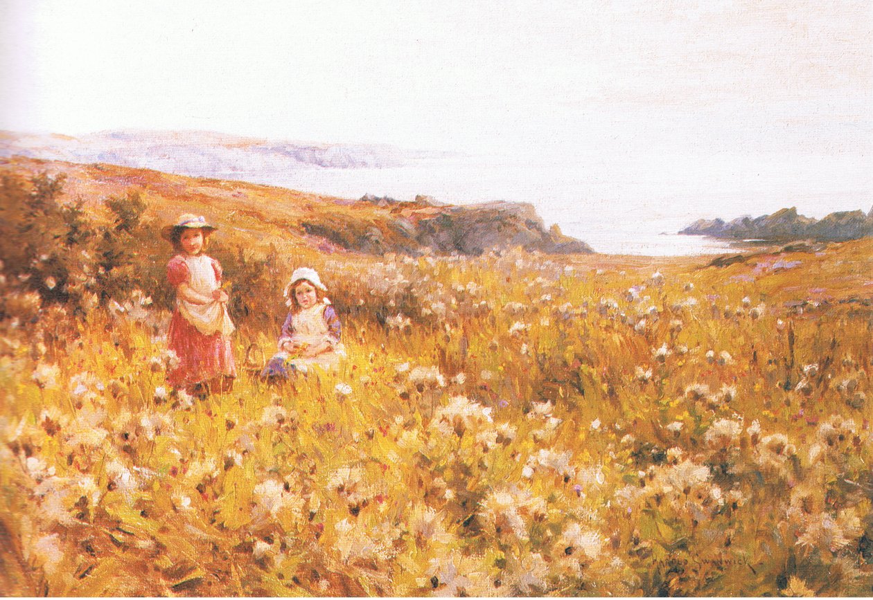Zbieranie jaskry z nieznanego źródła czasopisma lub książki autorstwa Joseph Harold Swanwick