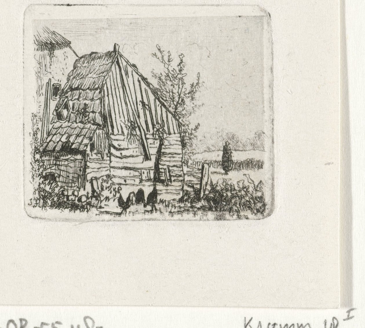 Kurczaki w stodole autorstwa Joseph Hartogensis
