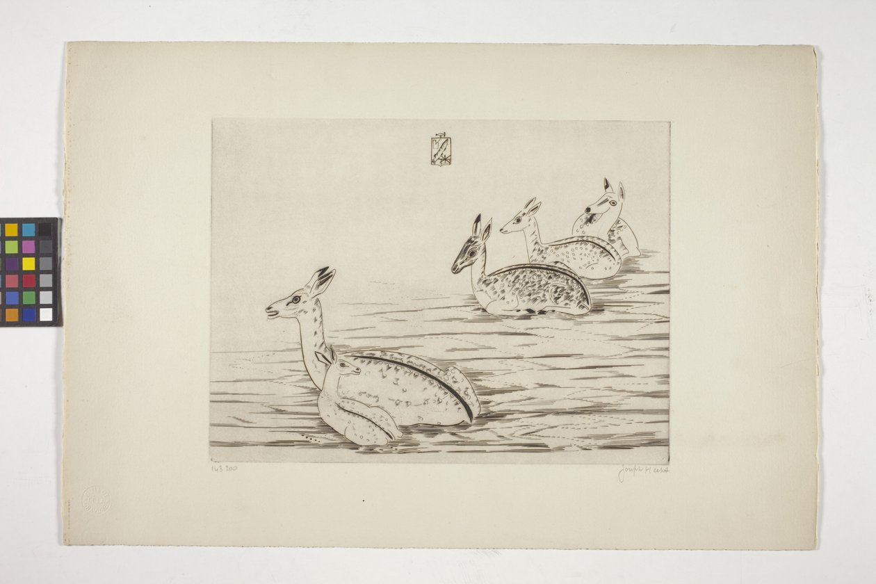 Cerfs Indochinois I (Indochinese Deer I) (grawerunek na kremowym papierze tkanym) autorstwa Joseph Hecht