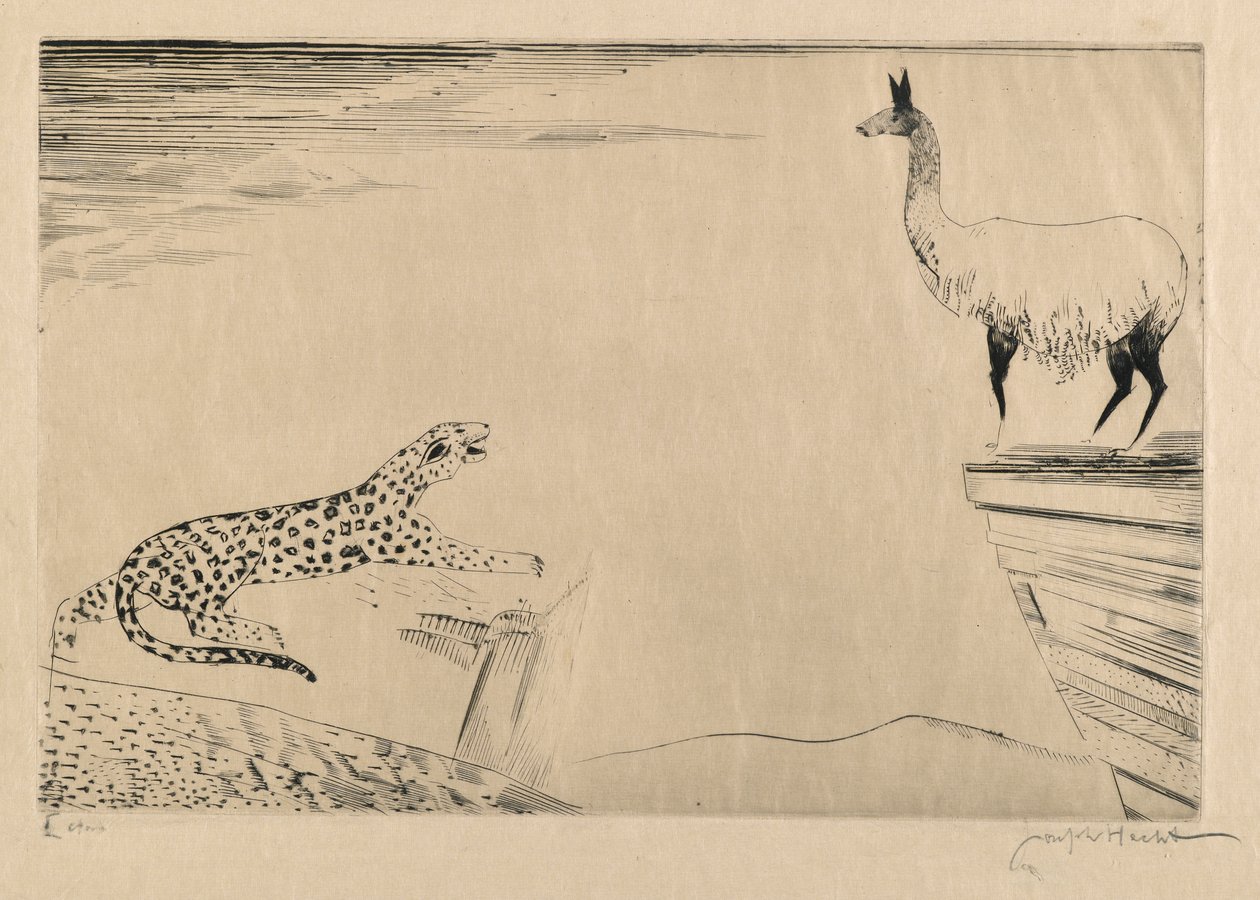 Jaguar i Lama autorstwa Joseph Hecht