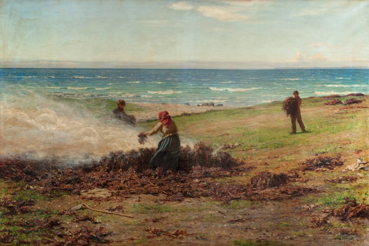 Palenie wodorostów (olej na płótnie) autorstwa Joseph Henderson