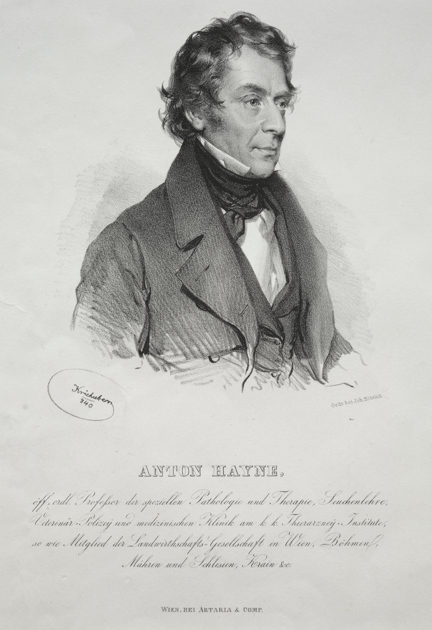 Portret dr Antona Hayne autorstwa Joseph Kriehuber
