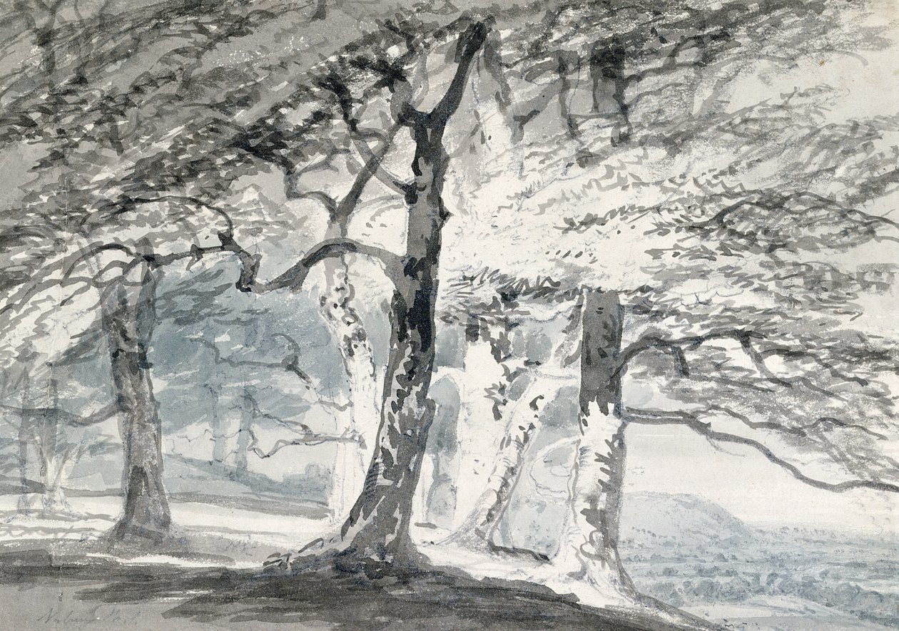 Norbury Park, Surrey (ołówek i akwarela na papierze) autorstwa Joseph Mallord William (attr.to) Turner