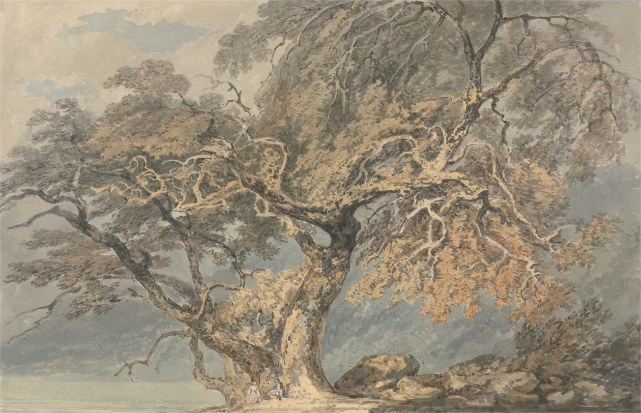 Wielkie drzewo autorstwa Joseph Mallord William Turner