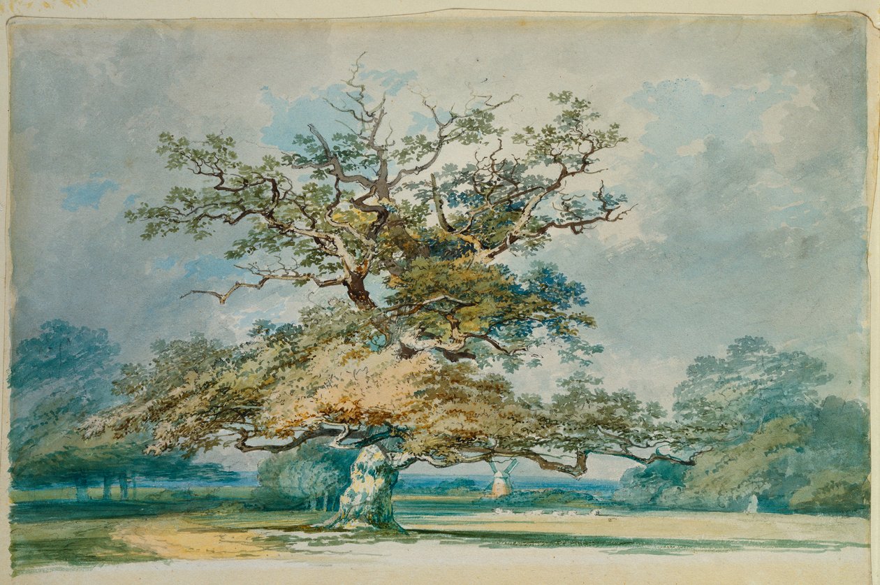 Krajobraz ze starym dębem autorstwa Joseph Mallord William Turner