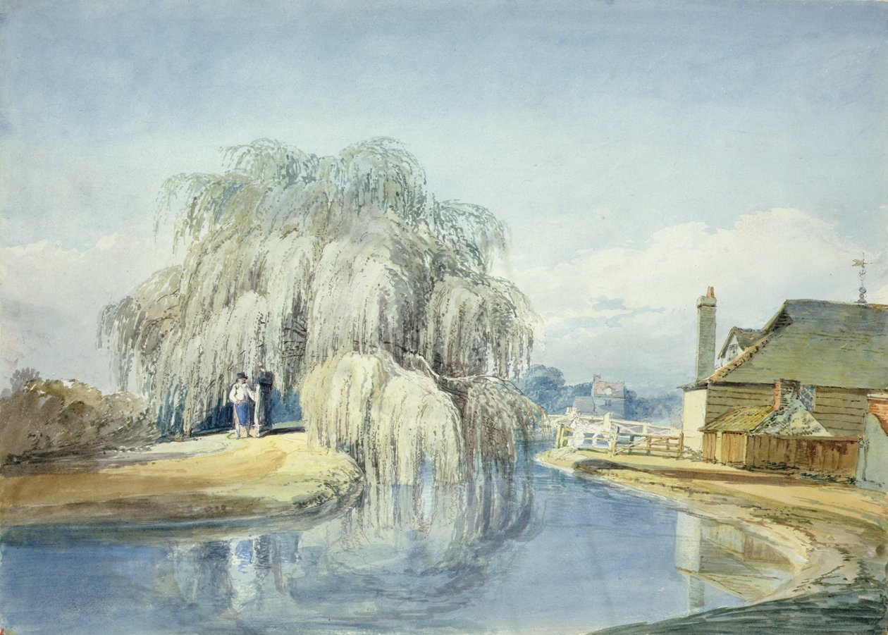 Płacząca wierzba (akwarela na papierze) autorstwa Joseph Mallord William Turner