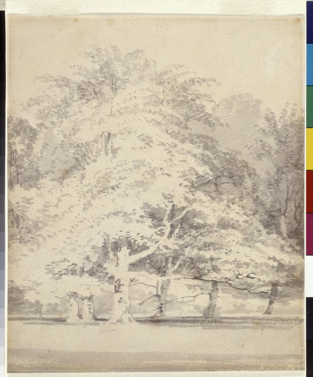 Buk (szary tusz rozmywa się po ołówku na białym papierze) autorstwa Joseph Mallord William Turner