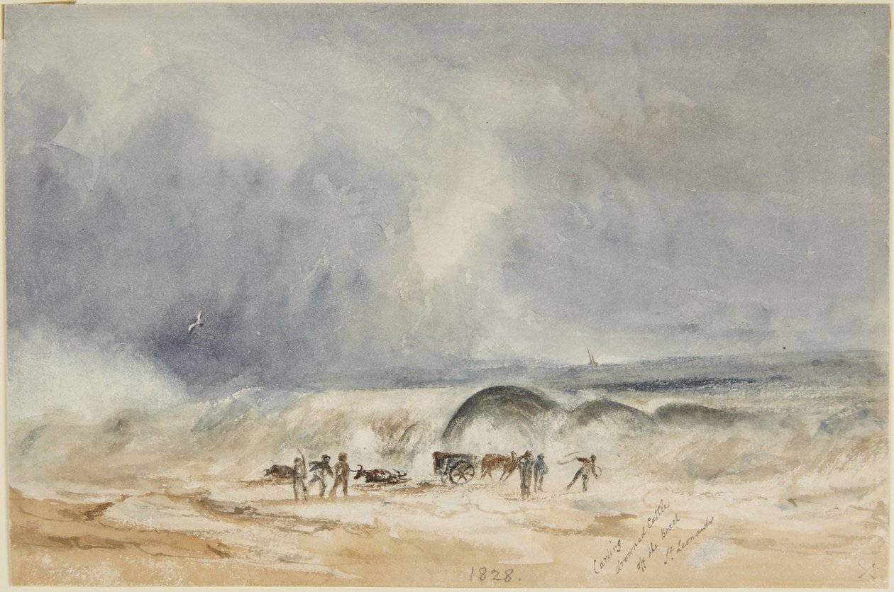 Wywóz utopionego bydła z plaży w St. Leonards autorstwa Joseph Mallord William Turner