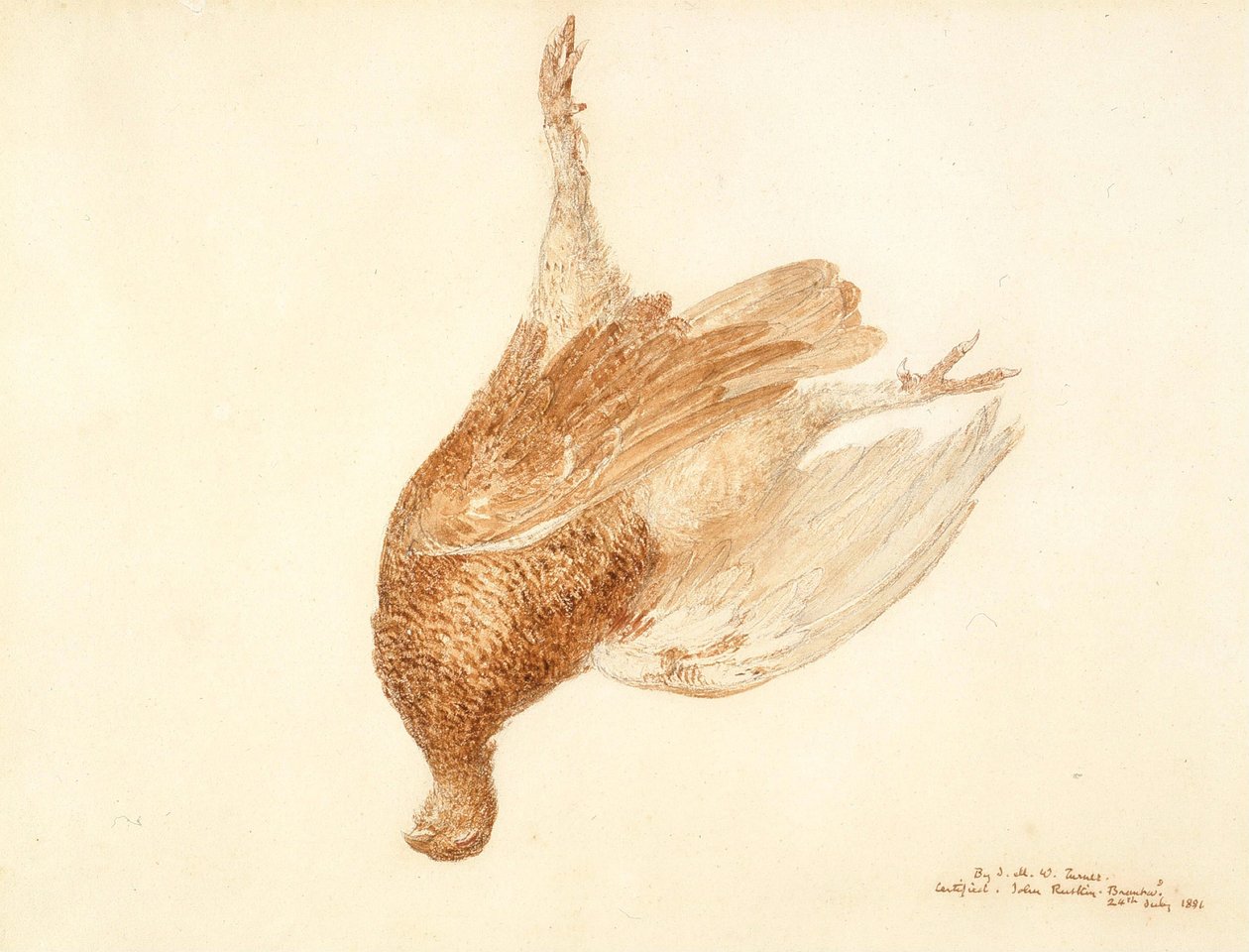 Martwy głuszec autorstwa Joseph Mallord William Turner