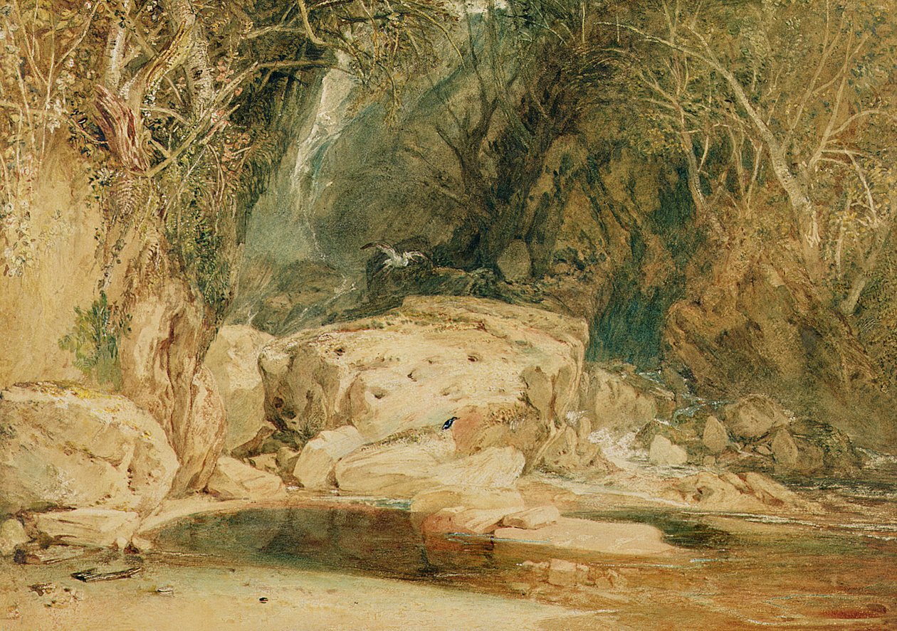 Lonely Dell, Wharfedale, c.1818 (akwarela na papierze) autorstwa Joseph Mallord William Turner
