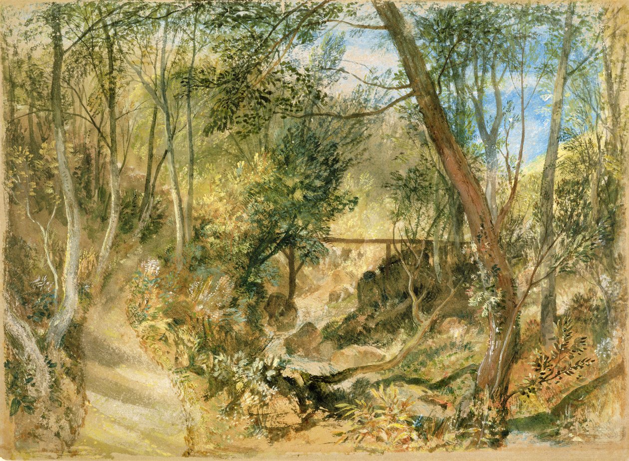 PD.50-1958 The Woodwalk, Farnley Hall, ok.1818 (wc i gwasz) autorstwa Joseph Mallord William Turner