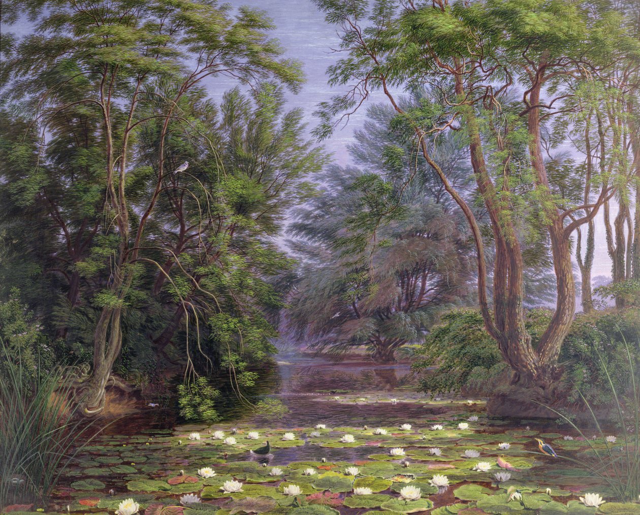 Lilie wodne z rzeki Cherwell, 1851 autorstwa Joseph Mallord William Turner