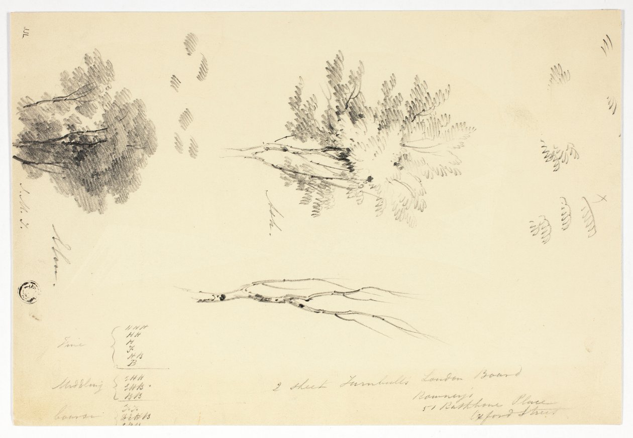 Szkice wiązów i jesionów autorstwa Joseph Mallord William Turner