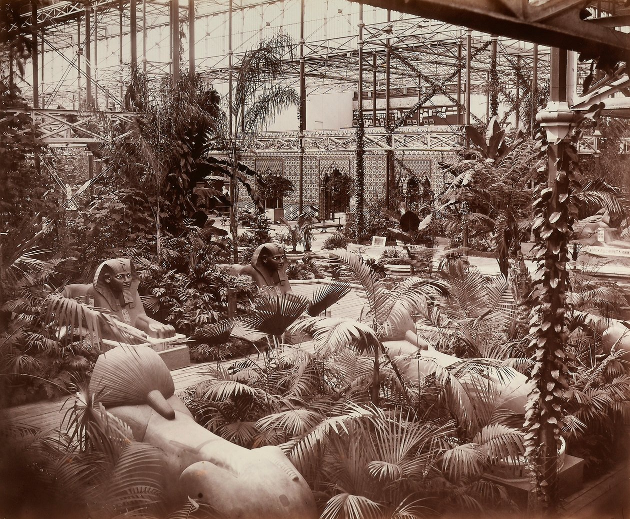 The Crystal Palace w Londynie: sekcja tropikalna, ok. 1870 (zdjęcie czarno-białe) autorstwa Joseph Paxton