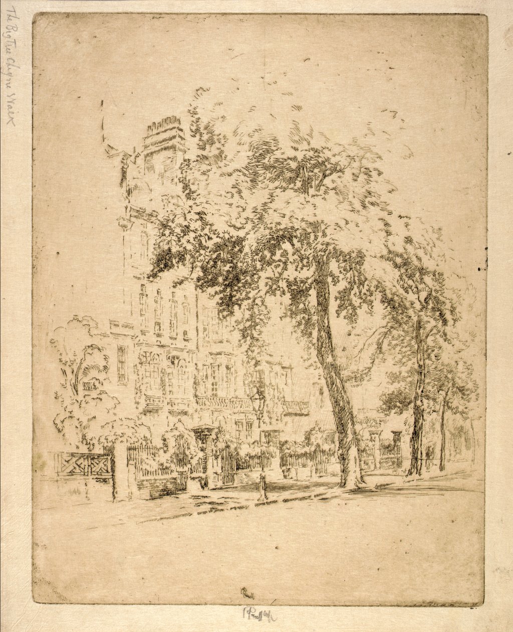 Big Tree--Cheyne Walk autorstwa Joseph Pennell