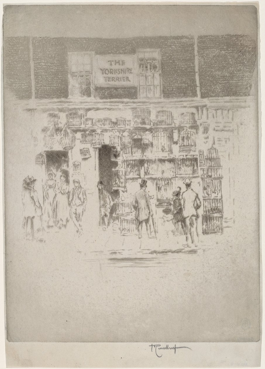 Yorkshire terier autorstwa Joseph Pennell