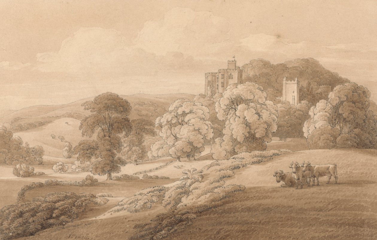 Zamek Dunster, Somerset autorstwa Joseph Powell
