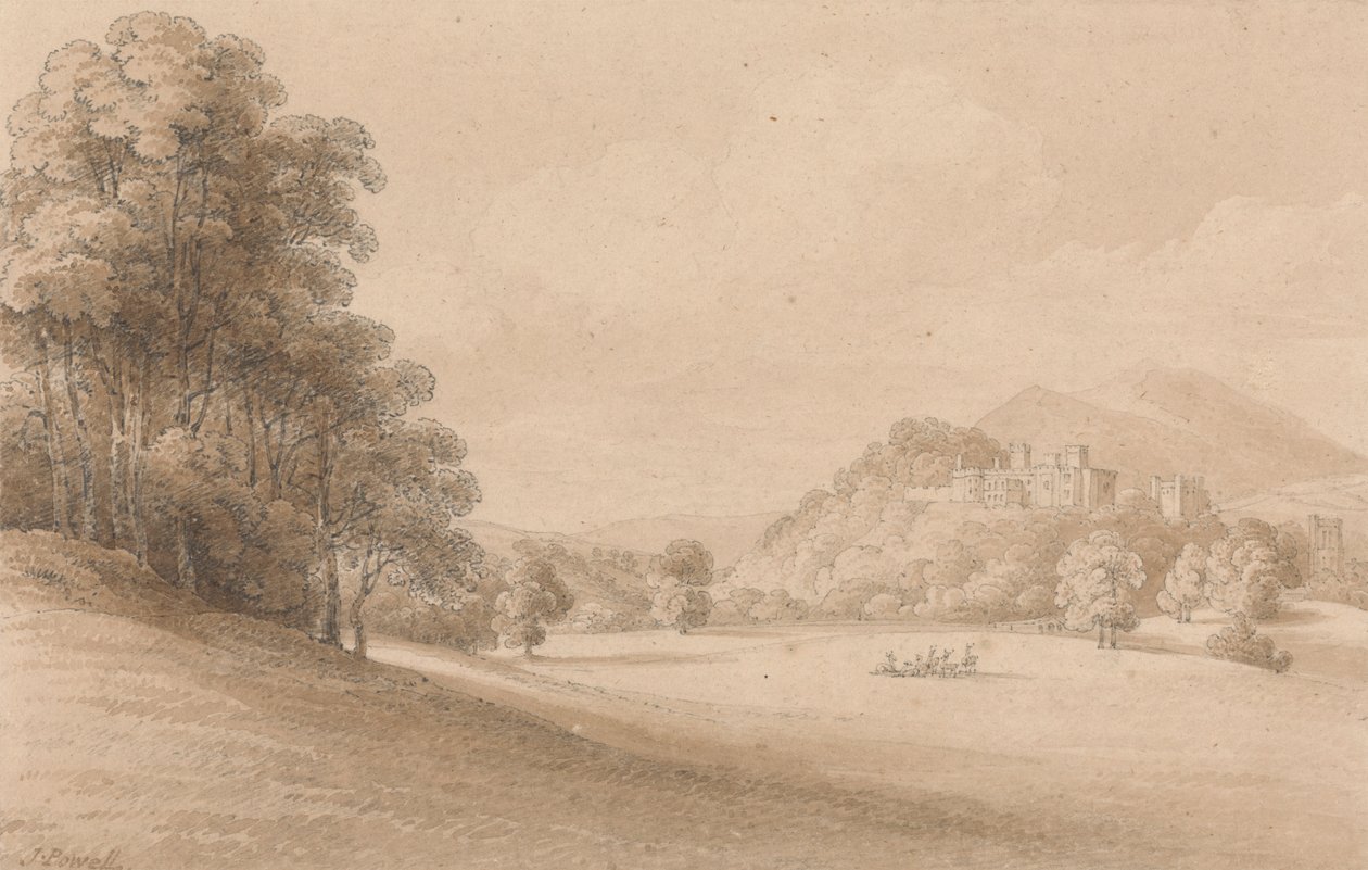 Zamek Dunster, Somerset: Pokazuje zamek w oddali autorstwa Joseph Powell
