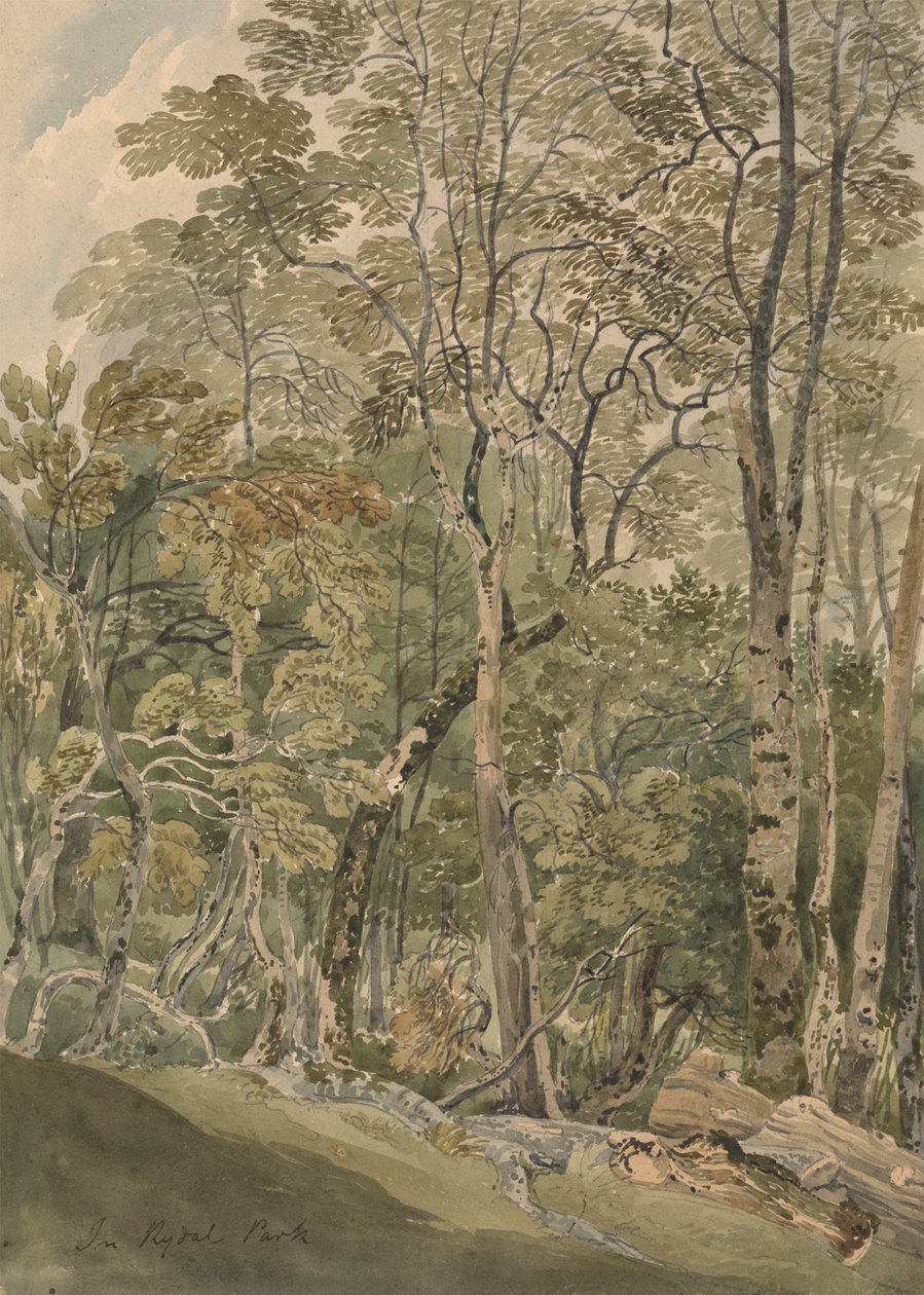 W Parku Rydalskim autorstwa Joseph Powell