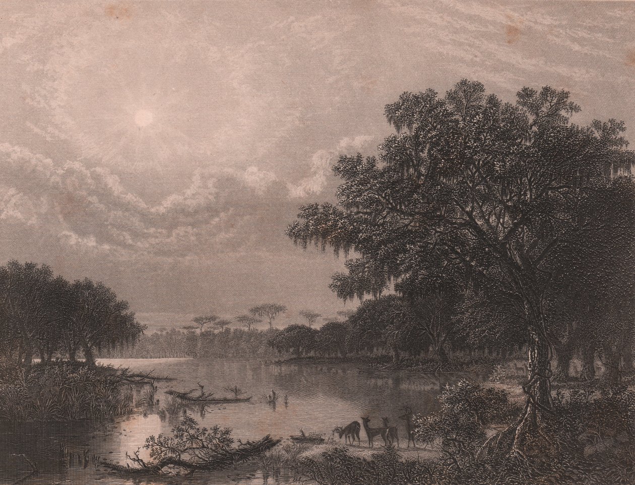 Louisiana Bayou, Stany Zjednoczone, staloryt Roberta Hinshelwooda (1812-po 1875) po obrazie Josepha Ruslinga Meekera (1827-1889), ok. 16x18 cm autorstwa Joseph Rusling Meeker