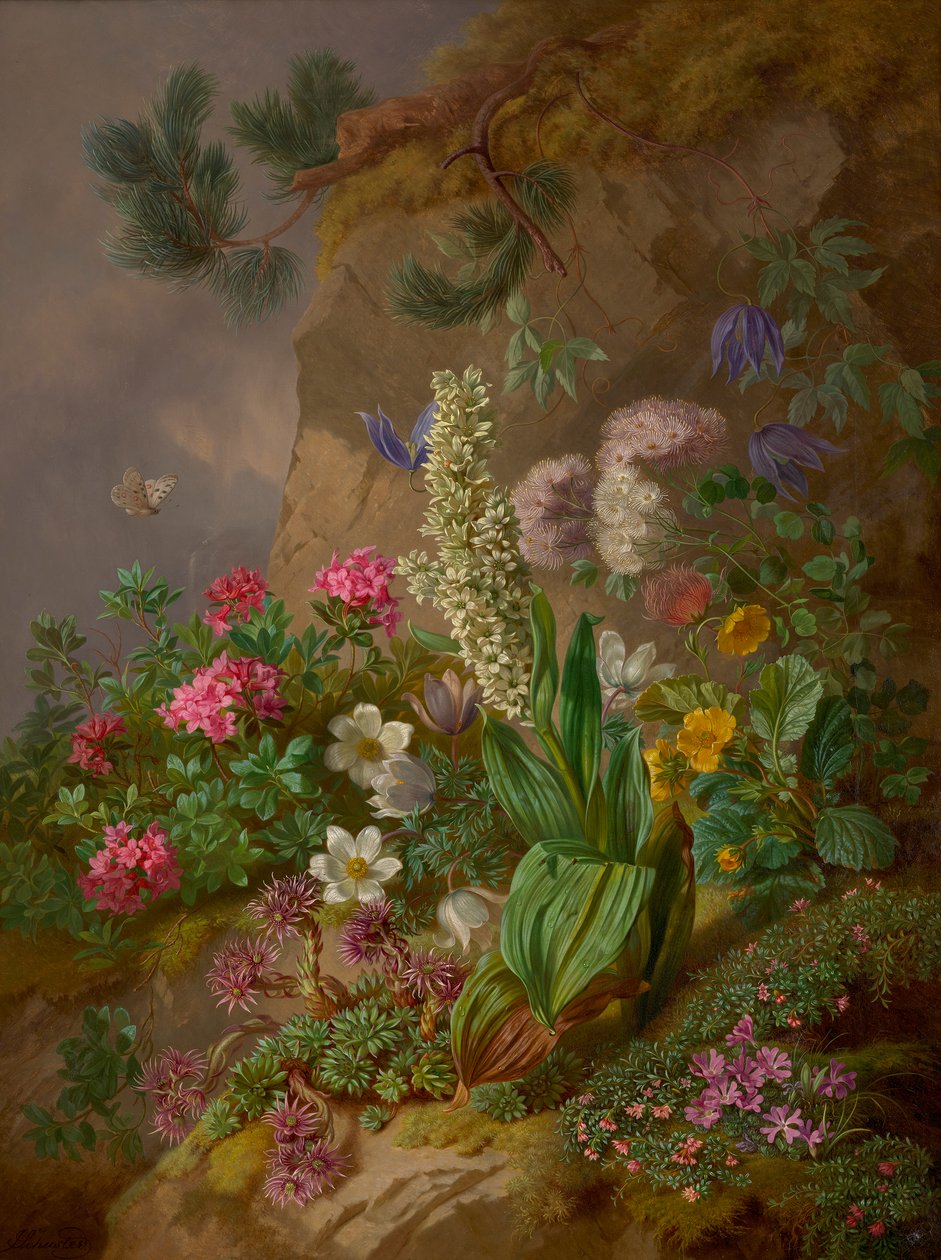 Alpenblumen autorstwa Joseph Schuster