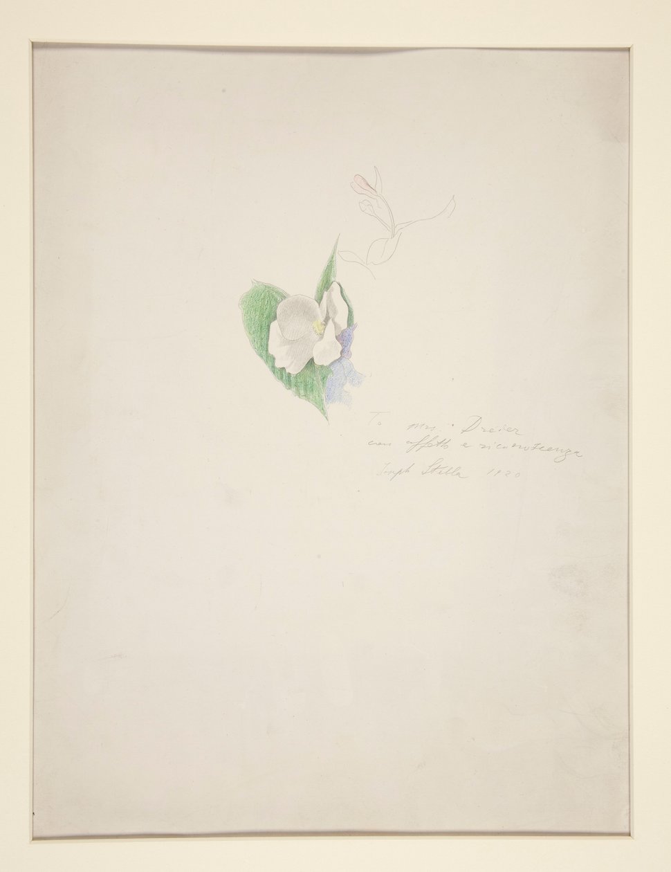 Kwiat autorstwa Joseph Stella