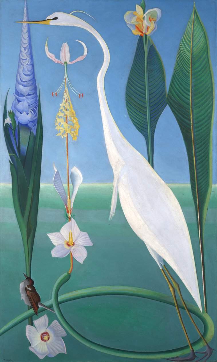 Biała Czapla autorstwa Joseph Stella