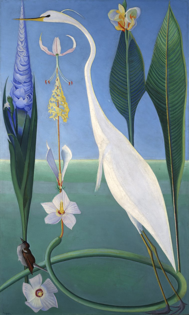 Biała Czapla autorstwa Joseph Stella