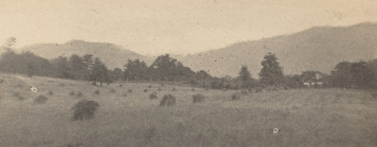 Krajobraz z drzewami i górami, ok. 1900 (zdjęcie) autorstwa Joseph T. Keiley