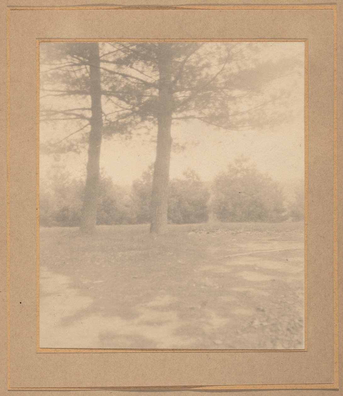 Krajobraz z drzewami, ok. 1900 (zdjęcie) autorstwa Joseph T. Keiley