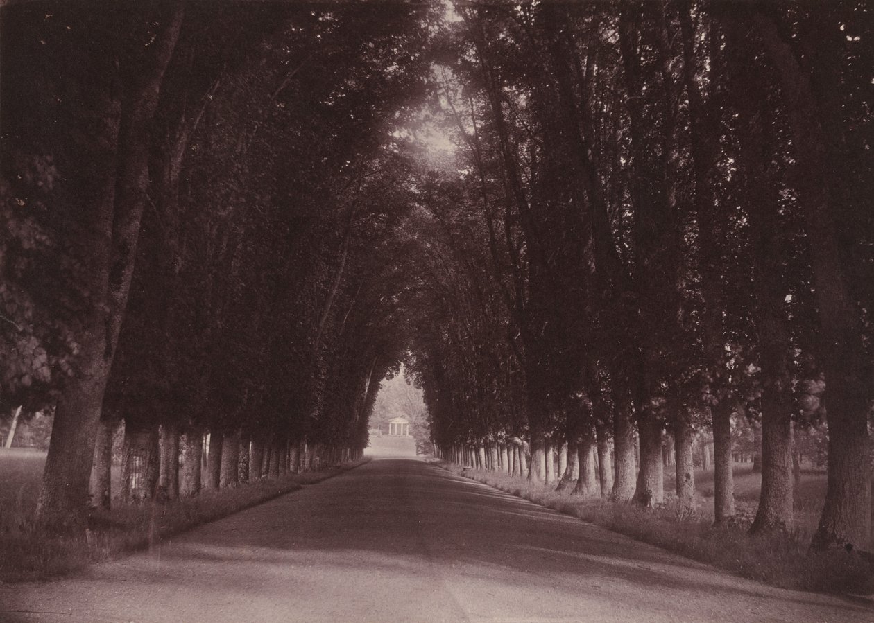 Podjazd, Château de Grand-Vaux, Savigny-sur-Orge, dom rodzinny Vigier, ok. 1855 r. (zdjęcie) autorstwa Joseph Vigier