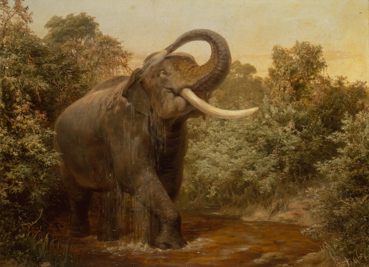 Potwór Tusker (olej na płótnie) autorstwa Joseph Wolf