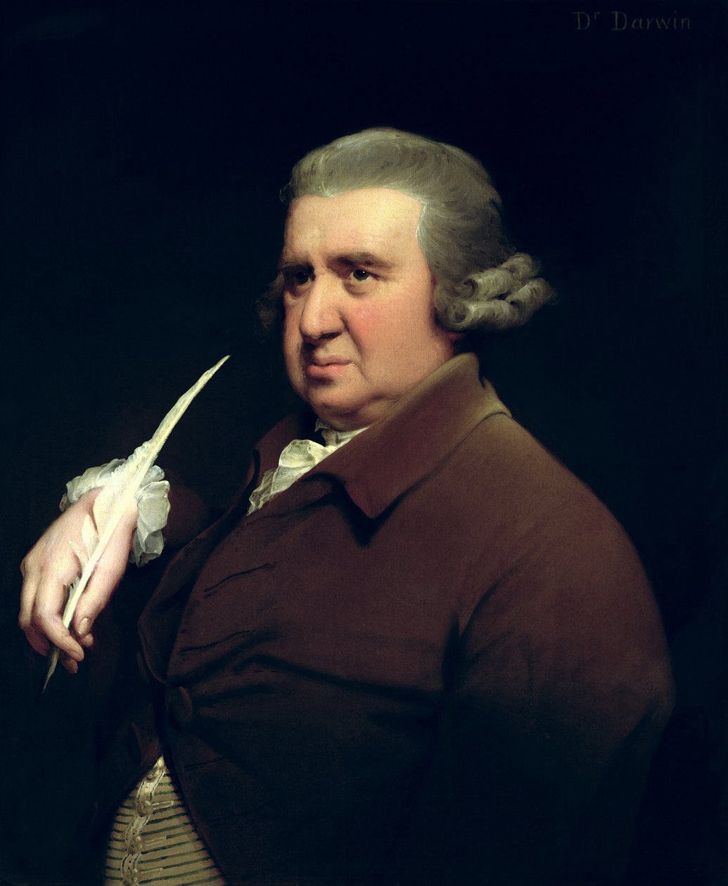 Portret doktora Erazma Darwina (1731-1802) naukowca, wynalazcy i poety, dziadka Karola Darwina autorstwa Joseph Wright of Derby