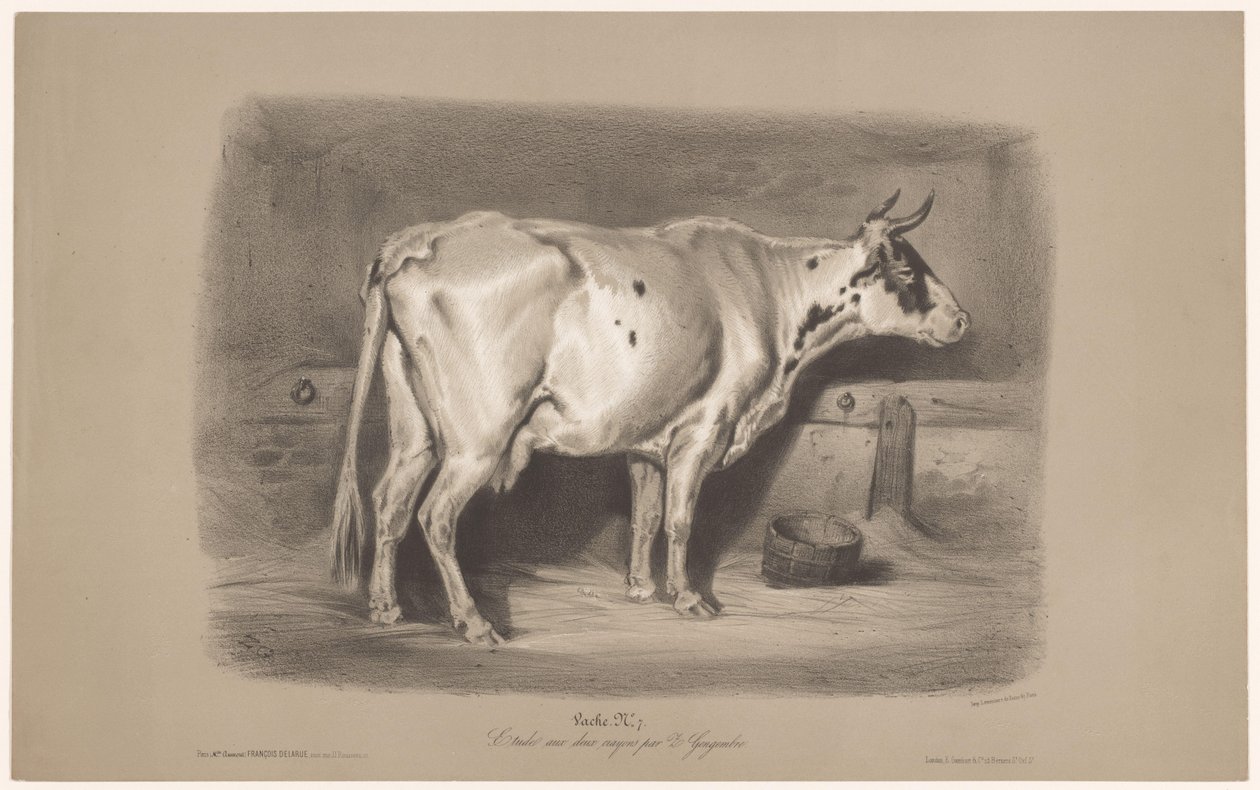 Krowa w stajni Vache (tytuł na obiekcie) Badania na zwierzętach w dwóch rodzajach kredy (tytuł serii) Etiuda aux deux kredki par Z. Gengembre (tytuł serii na obiekcie) autorstwa Joseph Zephyris Gengembre
