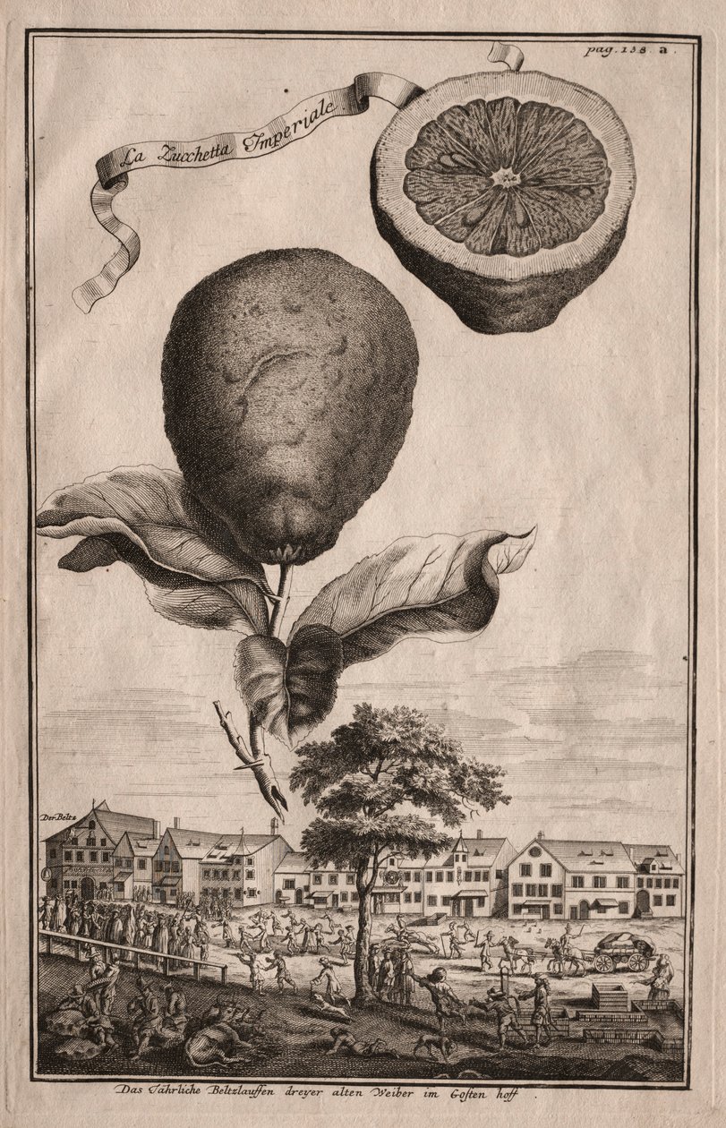 Norymberskie Hesperydy: La Luchetta Imoperiale, 1714. autorstwa Joseph de Montalegre