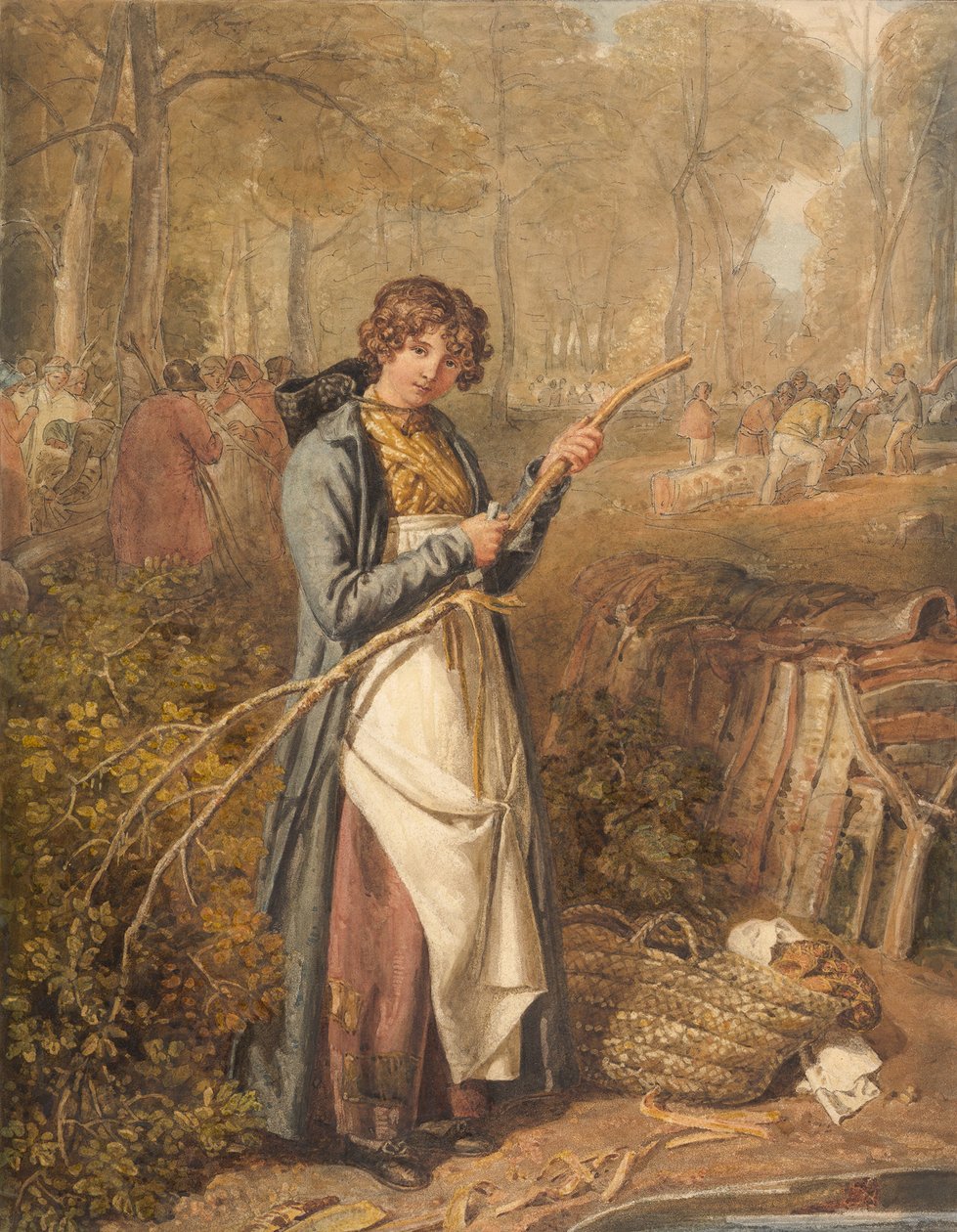 Drewno korujące w lesie Wychwood, Oxfordshire, 1818 . autorstwa Joshua Cristall